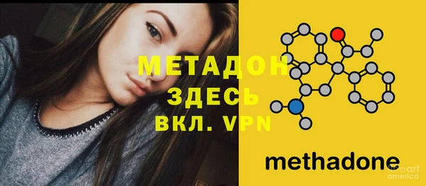 ПСИЛОЦИБИНОВЫЕ ГРИБЫ Бородино