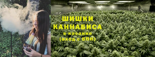 ПСИЛОЦИБИНОВЫЕ ГРИБЫ Бородино