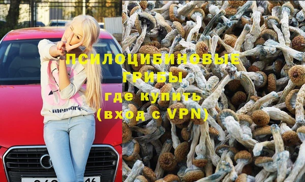 мяу мяу мука Струнино