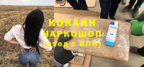 ПСИЛОЦИБИНОВЫЕ ГРИБЫ Бородино
