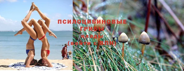 ПСИЛОЦИБИНОВЫЕ ГРИБЫ Бородино
