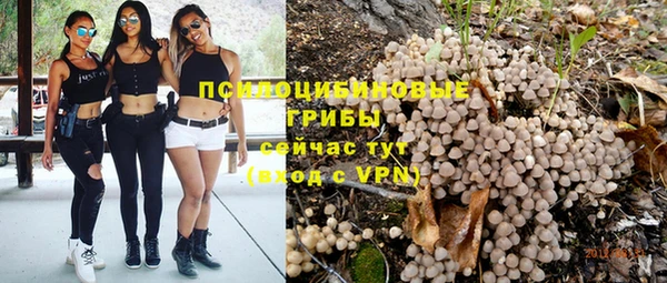 молекула духа Бугульма
