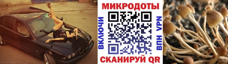 mega онион  Костерёво  Псилоцибиновые грибы прущие грибы 